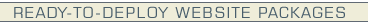 Ecommerce website development
